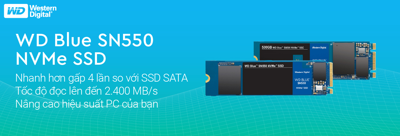 WD Blue Sn550 NVMe SSD
