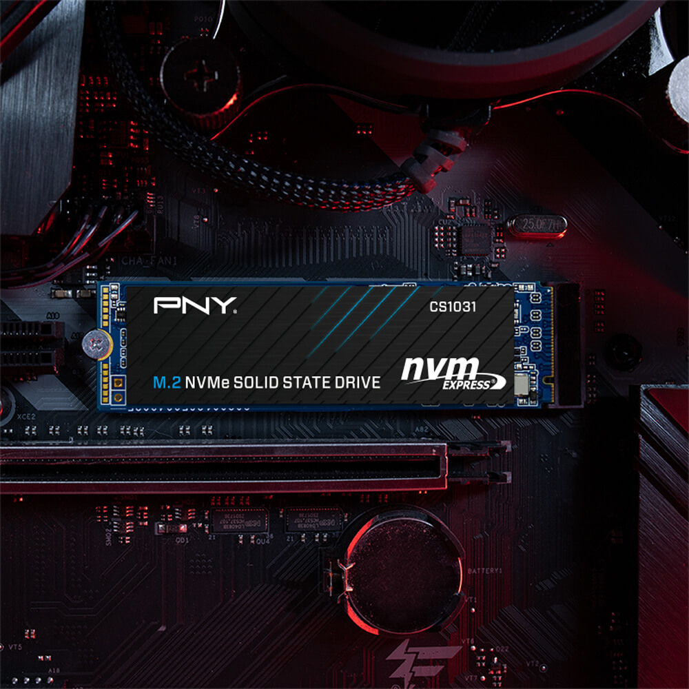 Ổ cứng SSD PNY CS1031 256GB M.2 2280 PCIe NVMe Gen 3x4 