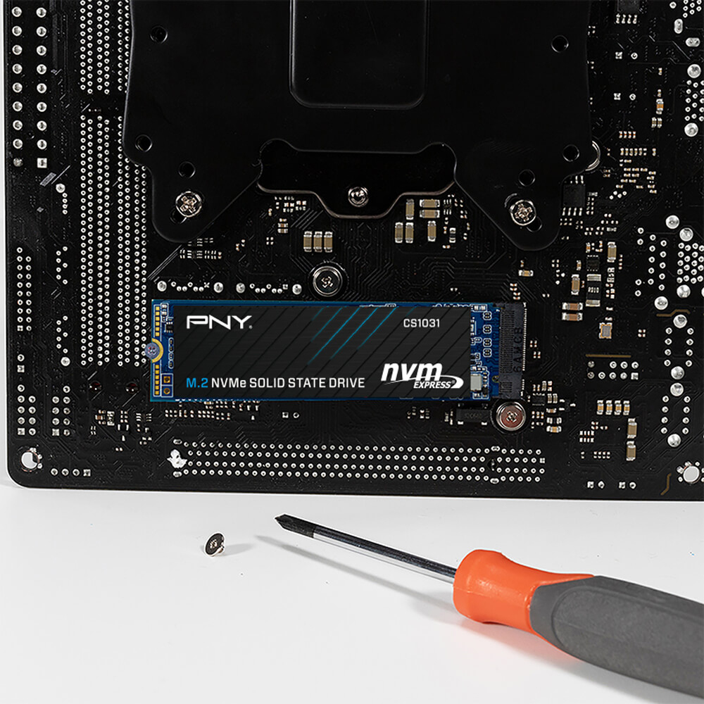 Ổ cứng SSD PNY CS1031 256GB M.2 2280 PCIe NVMe Gen 3x4 