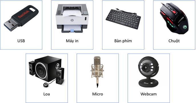 Chuột, bàn phím, loa, chuột, USB, … được gọi là các thiết bị ngoại vi