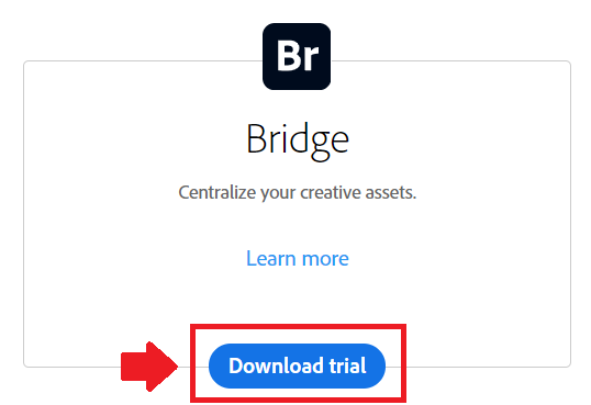 Adobe Bridge Là Gì, Tìm Hiểu Về Tính Năng Cơ Bản Của Adobe Bridge