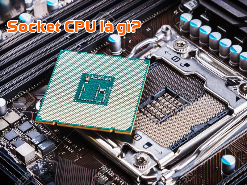 Socket CPU là gì? Những socket phổ biến hiện nay