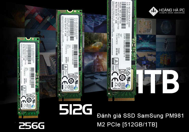 Đánh giá SSD SamSung PM981 M2 PCIe [512GB/1TB] có gì nổi trội?