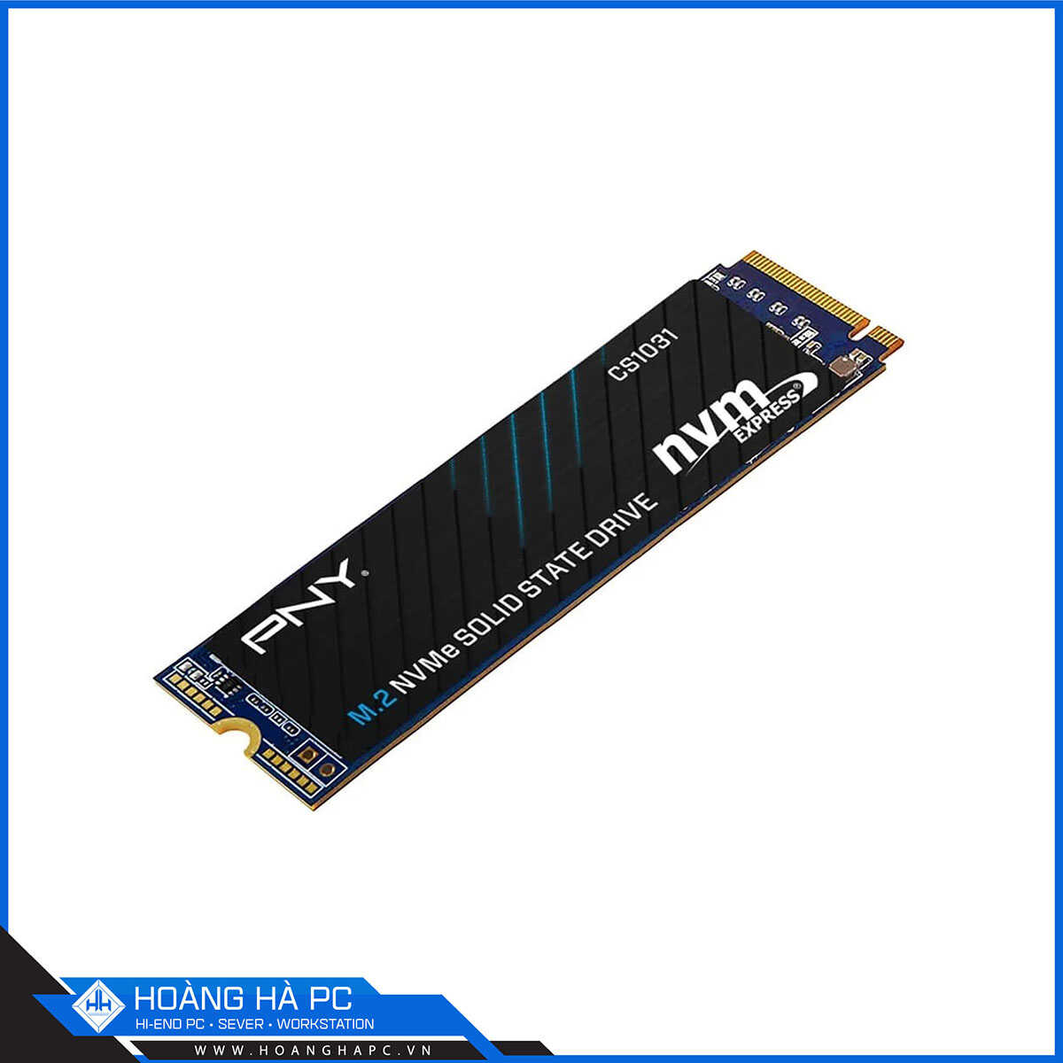 Ổ cứng SSD PNY CS1031 256GB M.2 2280 PCIe NVMe Gen 3x4 (Đọc 1700MB/s - Ghi 1100MB/s)