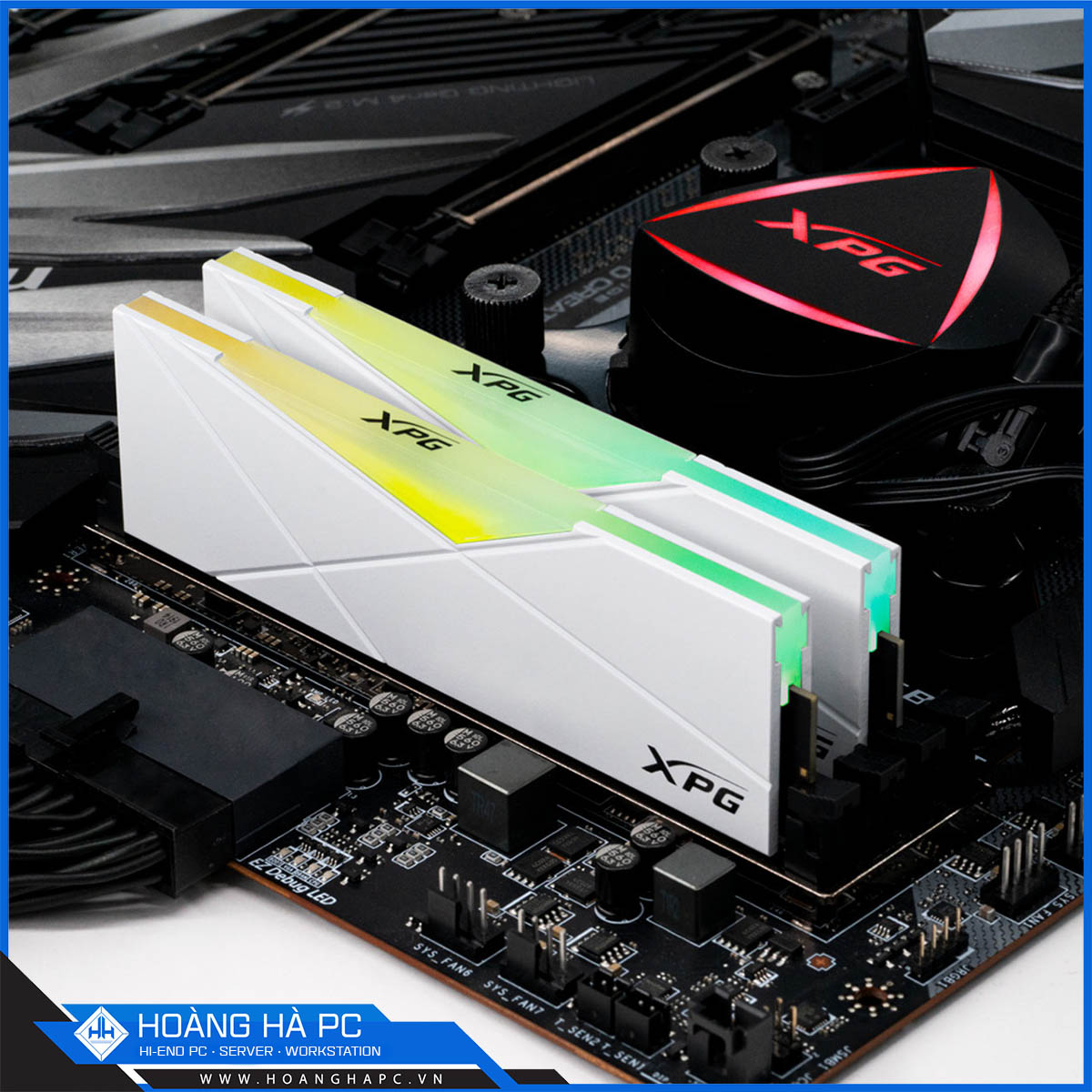 Bộ Nhớ RAM ADATA SPECTRIX D50 32GB (2x16GB) DDR4 3200MHz WHITE RGB